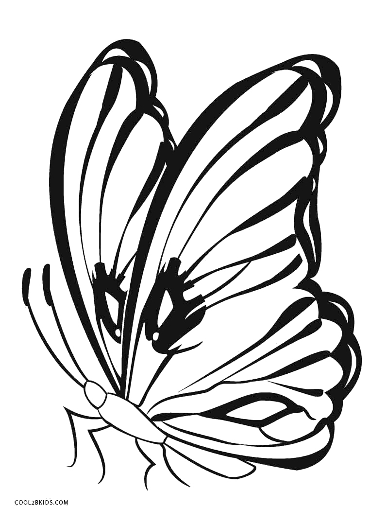 Coloriages  Papillon  Coloriages Gratuits à Imprimer