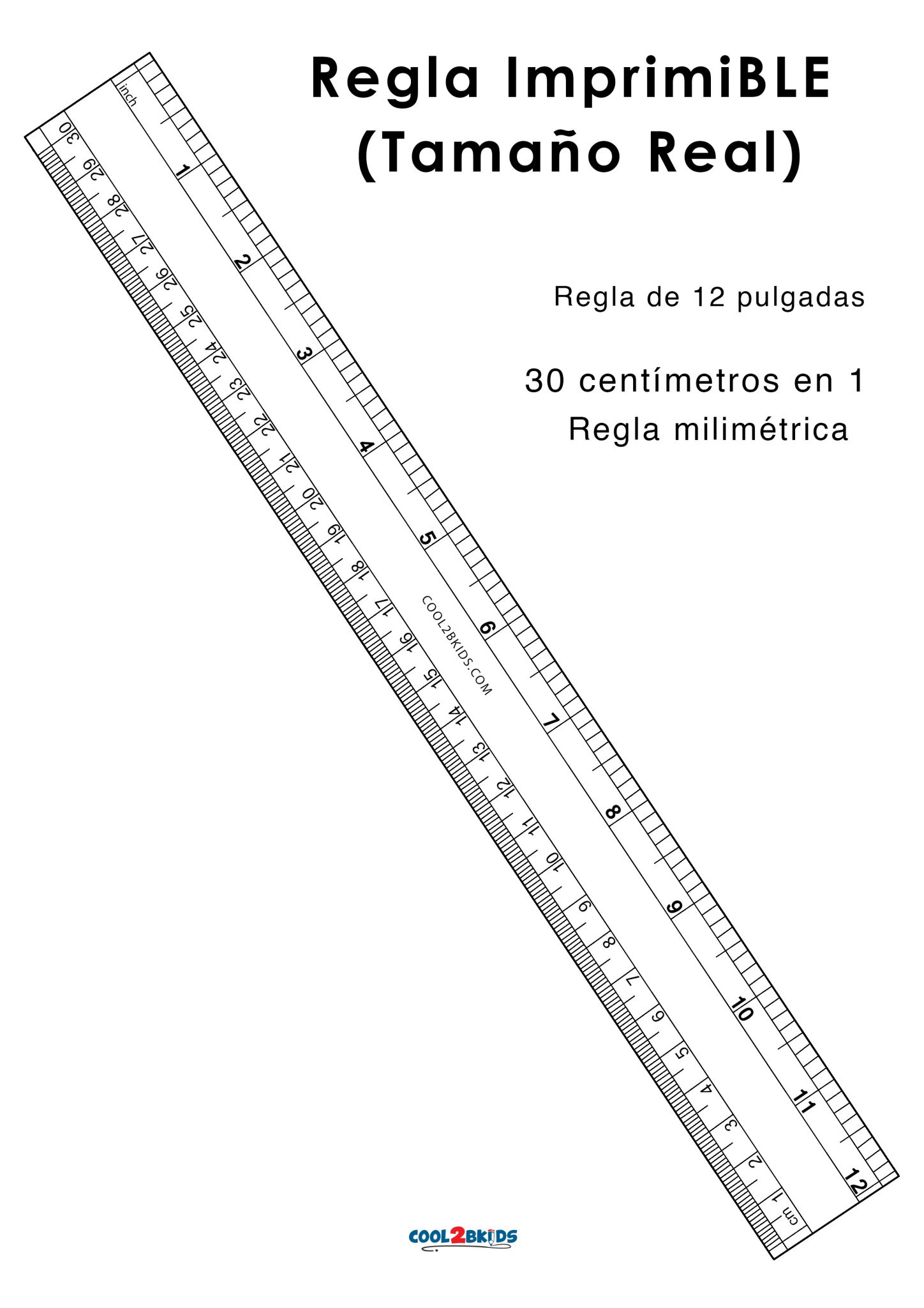 rulers life size