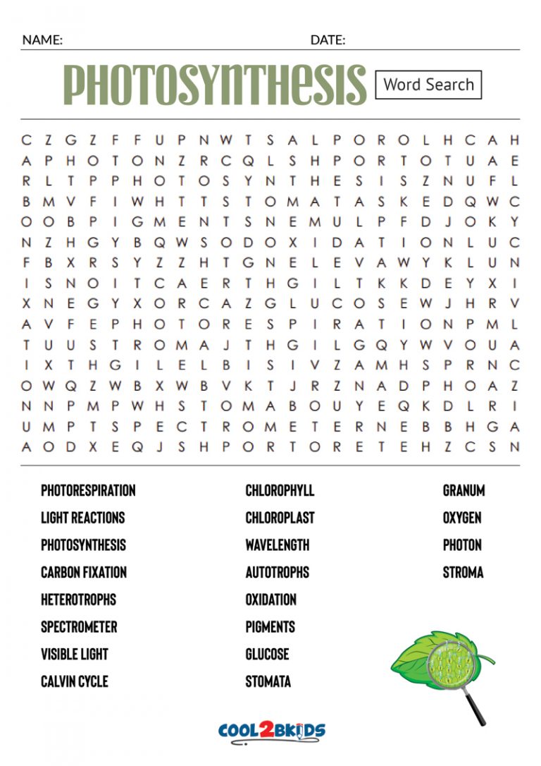 Printable Photosynthesis Word Search - Cool2bKids