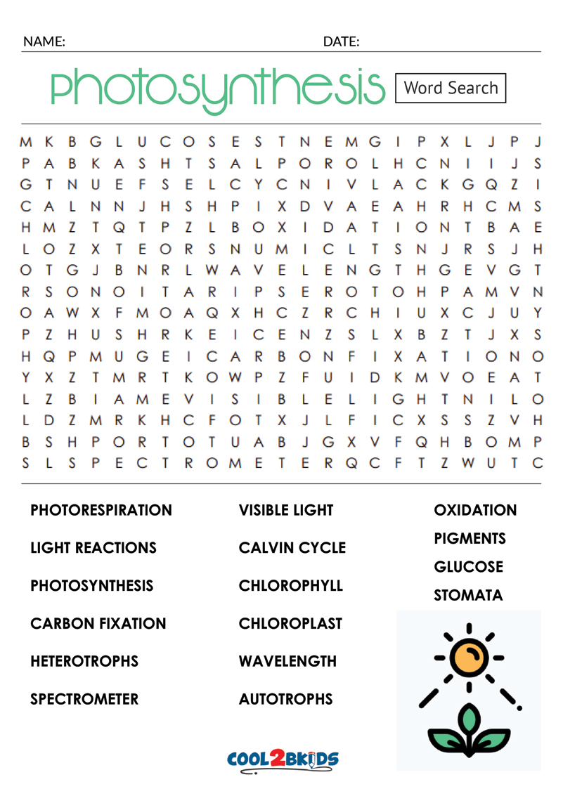 Read More Photosynthesis Worksheet Photosynthesis Word Search | The ...