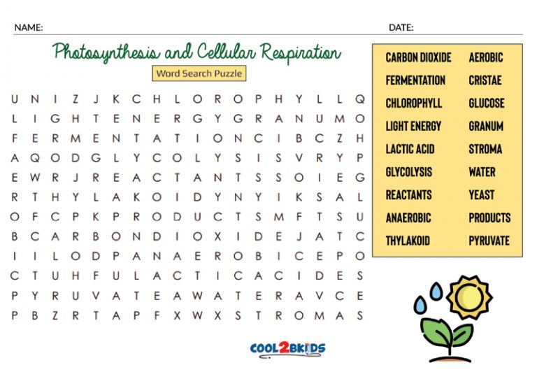 Cellular Respiration Word Search Answer Key