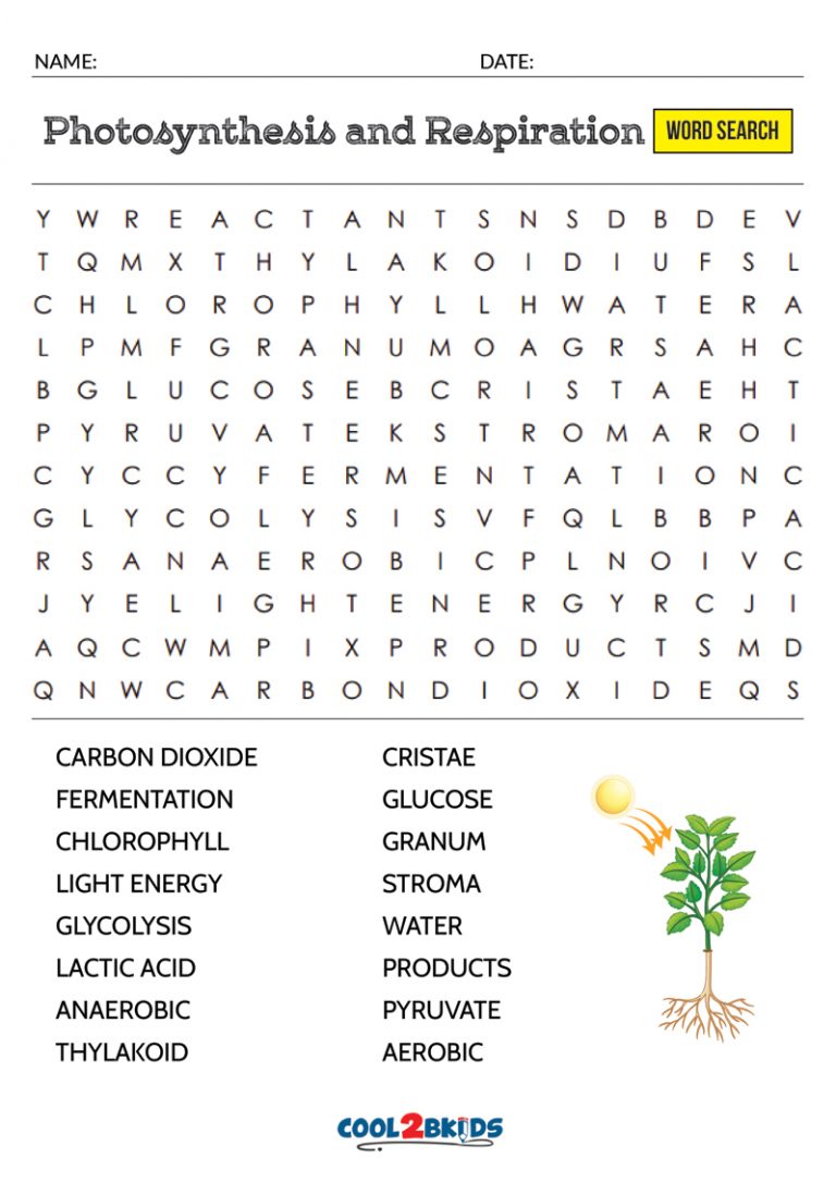 Printable Photosynthesis Word Search - Cool2bKids