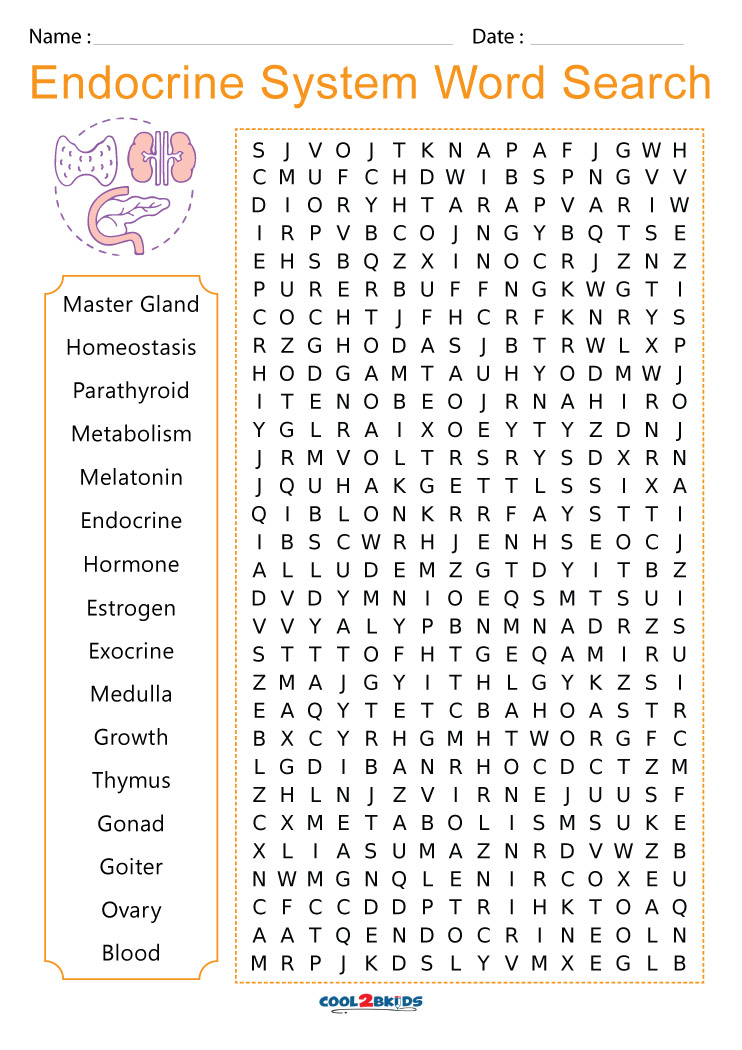 Crossword Endocrine System Word Search Answers Printable Brackets Gambaran