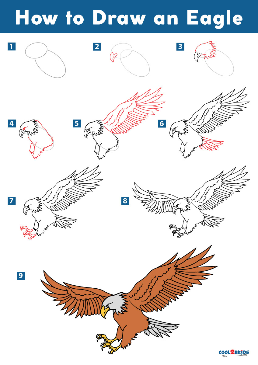 HD wallpaper sketch of bald eagle paper bird figure hands claws  pencil  Wallpaper Flare