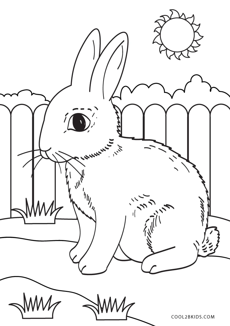 realistic rabbit coloring pages