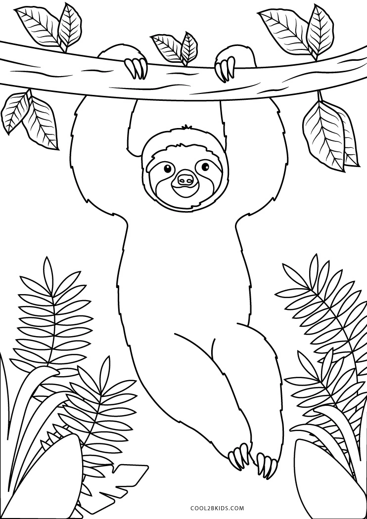 baby sloth cartoon to color