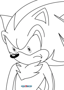Desenhos de Shadow the Hedgehog para Colorir e Imprimir 
