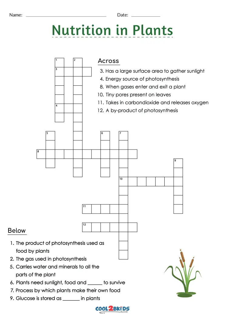 Free Printable Plant Crossword Puzzles