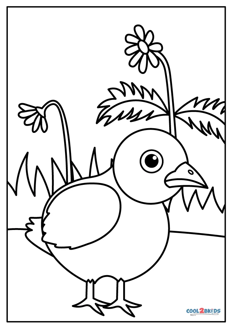 free coloring pages of birds for kids