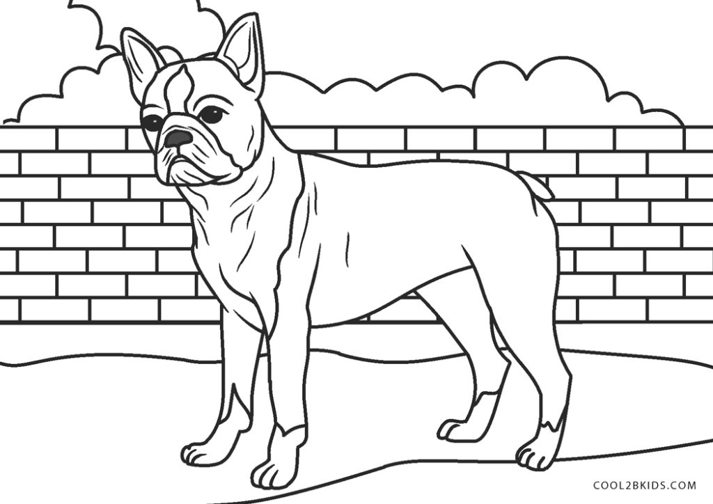 Free Printable Boston Terrier Coloring Pages For Kids