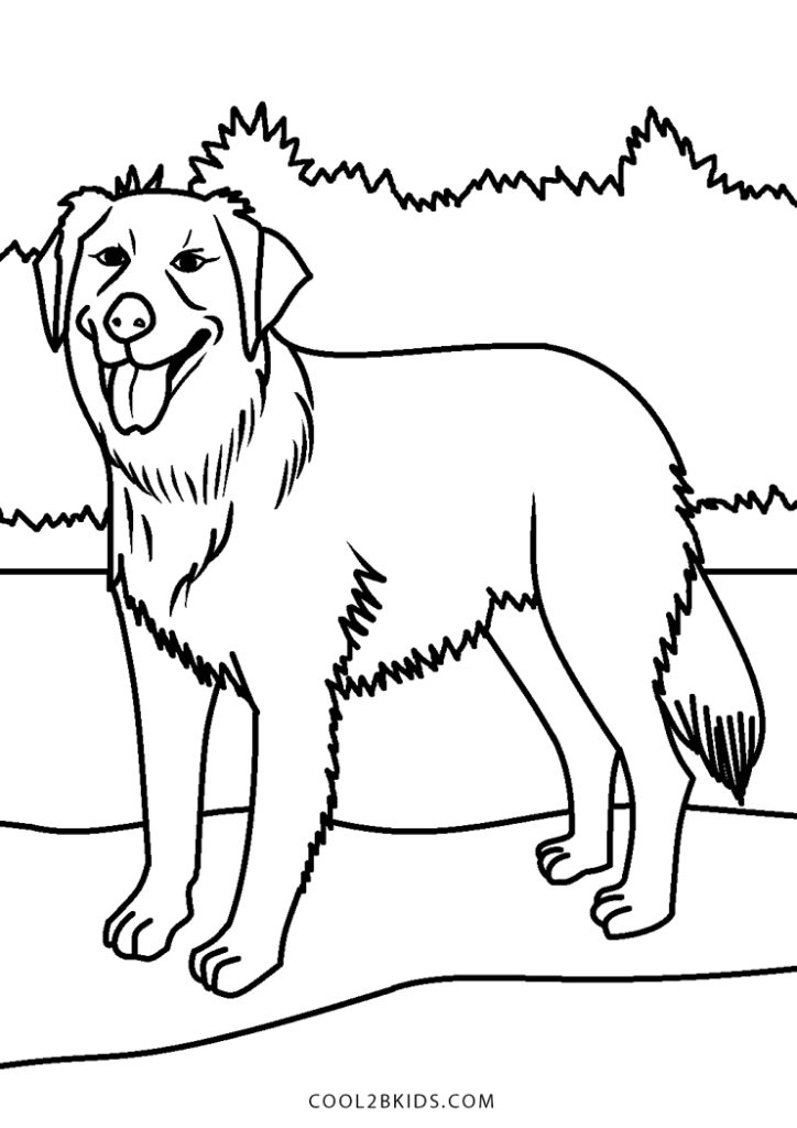 Free Printable Golden Retriever Coloring Pages For Kids